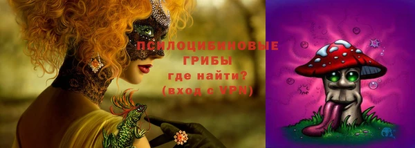 спайс Абаза