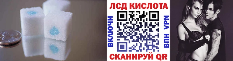 нарко площадка как зайти  ссылка на мегу как зайти  LSD-25 экстази ecstasy  Новопавловск  хочу  