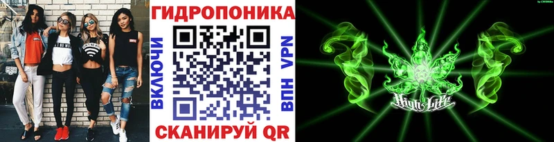 наркота  Новопавловск  Марихуана тримм 